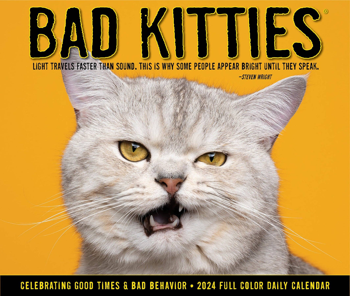 Bad Kitties 2024