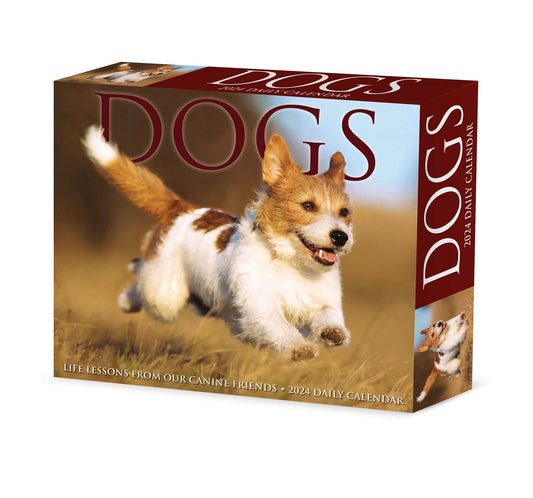 Dogs 2024 Box Calendar