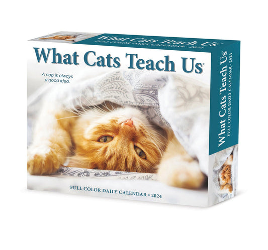 What Cats Teach Us 2024 Box Calendar